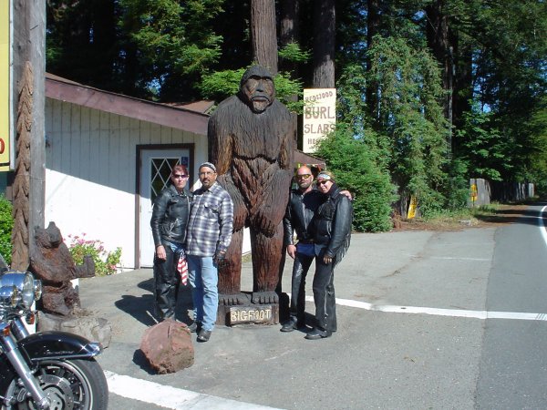 Avenue of the Giants