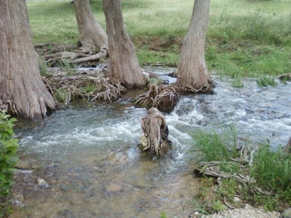 Verde Creek - Camp Verde Historic Park