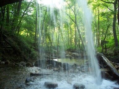 waterfalls  2008