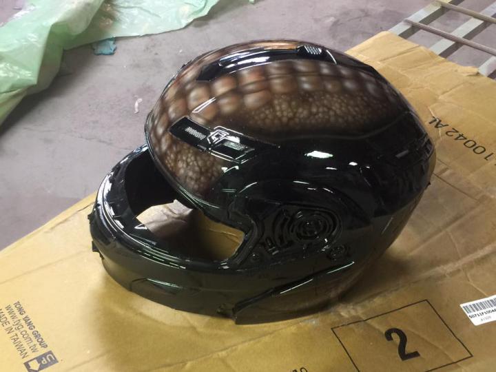 Gator Skin Helmet