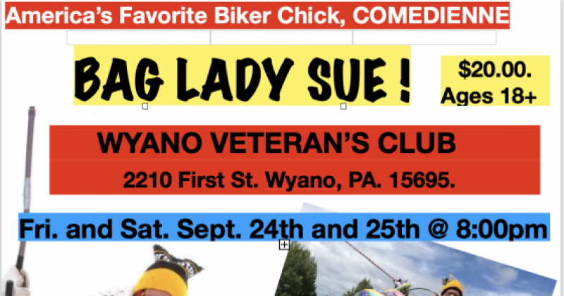 Bag Lady Sue Comic 4 Veterans