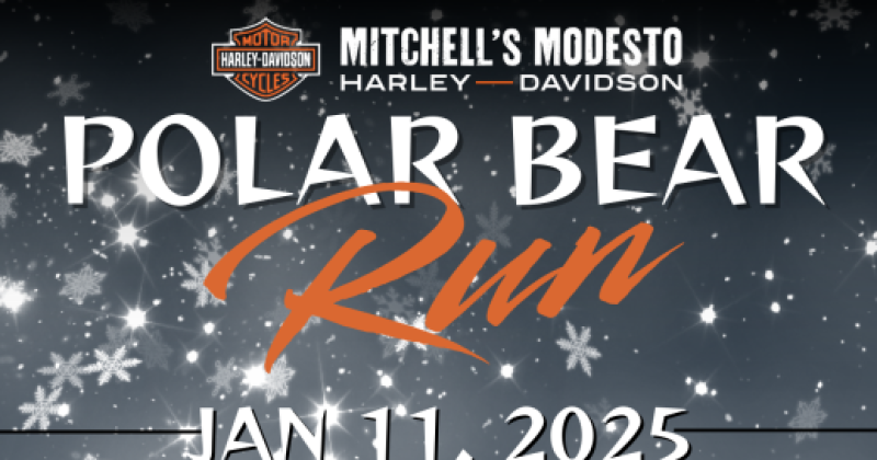 Polar Bear Run