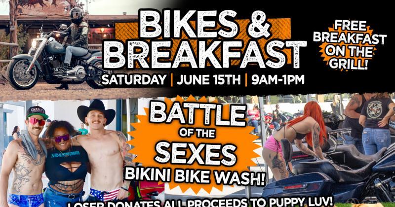 Battle of the Sexes