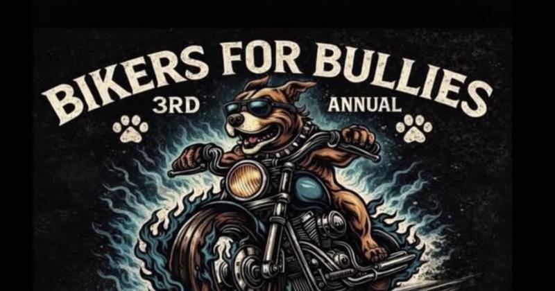 Bikers for bullies