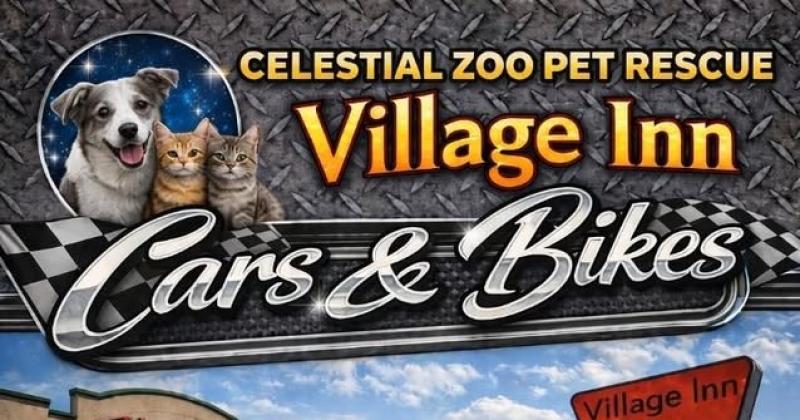 Celestial Zoo Pet Rescue Village Inn Cars & Bikes - Provo